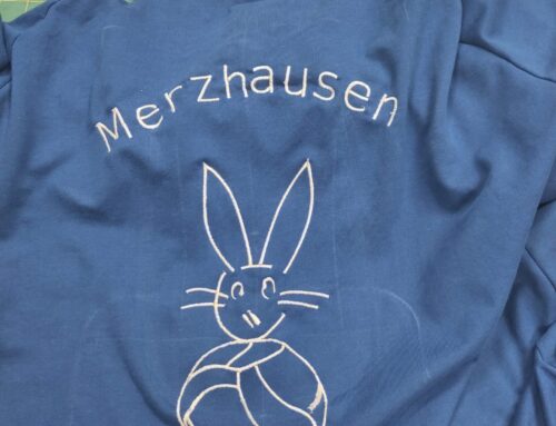 Team Sweatshirt with Embroidery